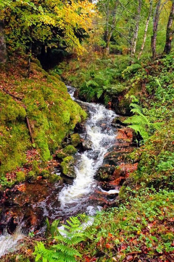 Waterfall Lodge - Private Waterfall And Sauna Killin Extérieur photo